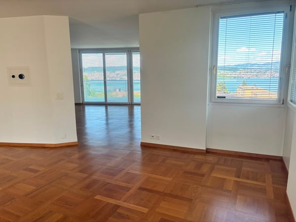 4.5-Room Apartment with Spectacular Lake & Alps Views in Wädenswil 5