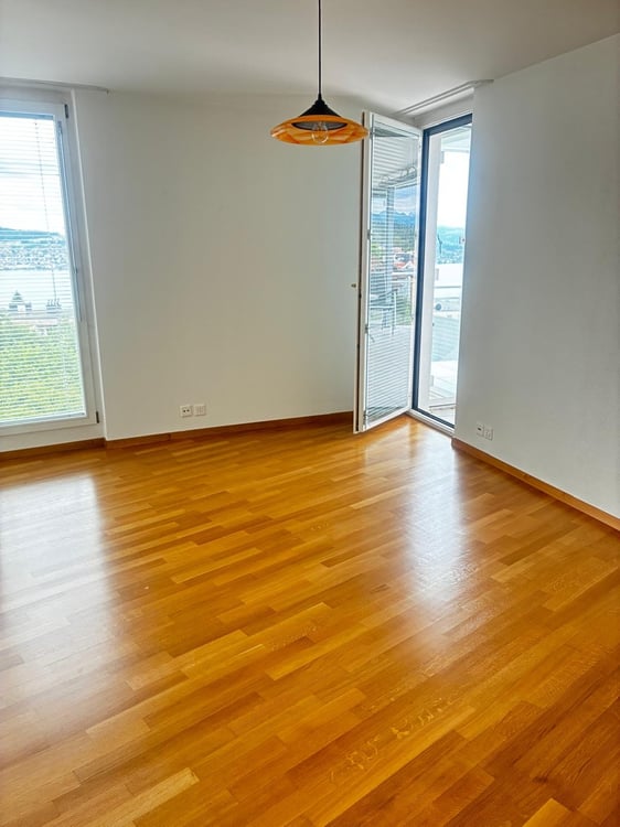 4.5-Room Apartment with Spectacular Lake & Alps Views in Wädenswil 6