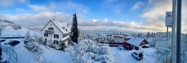 4.5-Room Apartment with Spectacular Lake & Alps Views in Wädenswil 2
