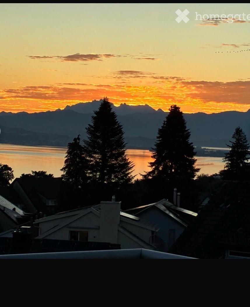 View of a sunset over a body of water with mountains in the background, surrounded by trees and rooftops of houses.