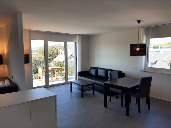 Moderne möblierte 2.5-Zimmer-Wohnung mit Terrasse und Garten in Aarau zu vermieten 20