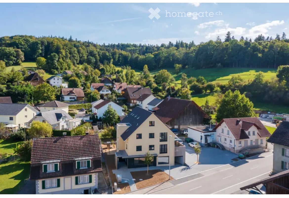 Small town with various houses of different colors, situated in a rural area with green fields and trees, a few vehicles parked in front of some houses.