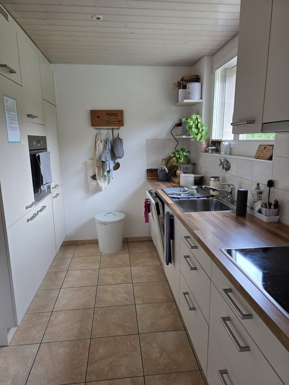 Charmante 3-Zimmer-Altbauwohnung mit Gartensitzplatz in Dornach 4