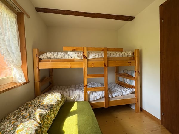 Maiensäss / Chalet in Runcalier 6