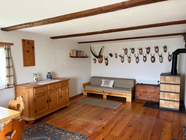 Maiensäss / Chalet in Runcalier 4