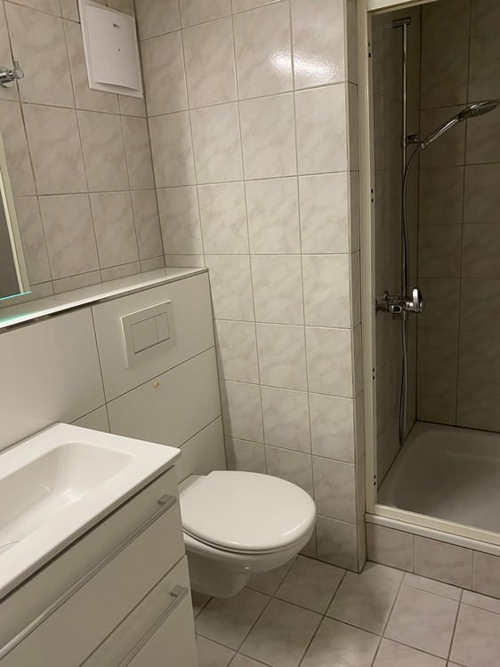Charmante 3.5-Zimmer-Altbauwohnung mit Seeblick in Steckborn 4