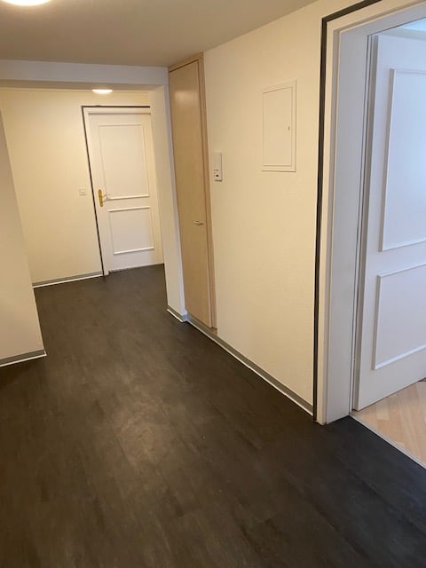 Charmante 3.5-Zimmer-Altbauwohnung mit Seeblick in Steckborn 2