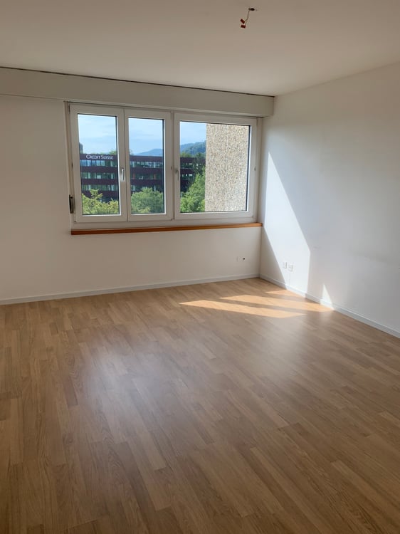 zentrale Lage nähe Uetliberg und Sihlcity (Bitte lesen Sie das ganze Inserat) 4
