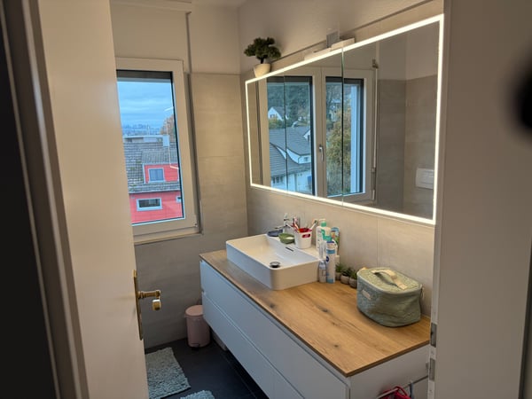 6.5 Zimmer Familienoase 168 m2 Winterthur Seen mit Balkon 14 m2, 2 Bäder saniert und Garage 10