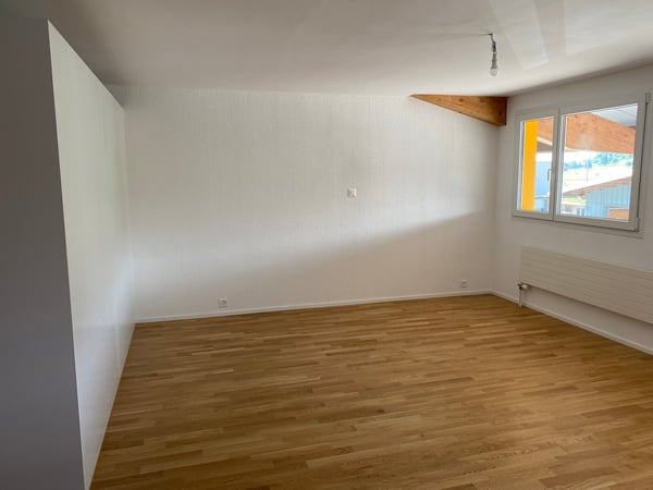 1.5 Zimmer Studio in Wallenwil/Eschlikon 3