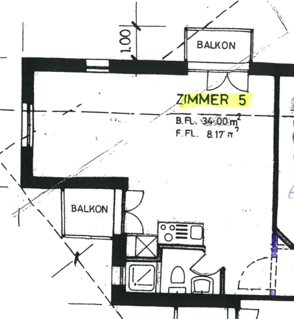 Schöne 1-Zimmer Wohnung in Oerlikon 2