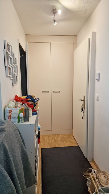 Gemütliche 1.5-Zimmer-Wohnung im Grünen 3