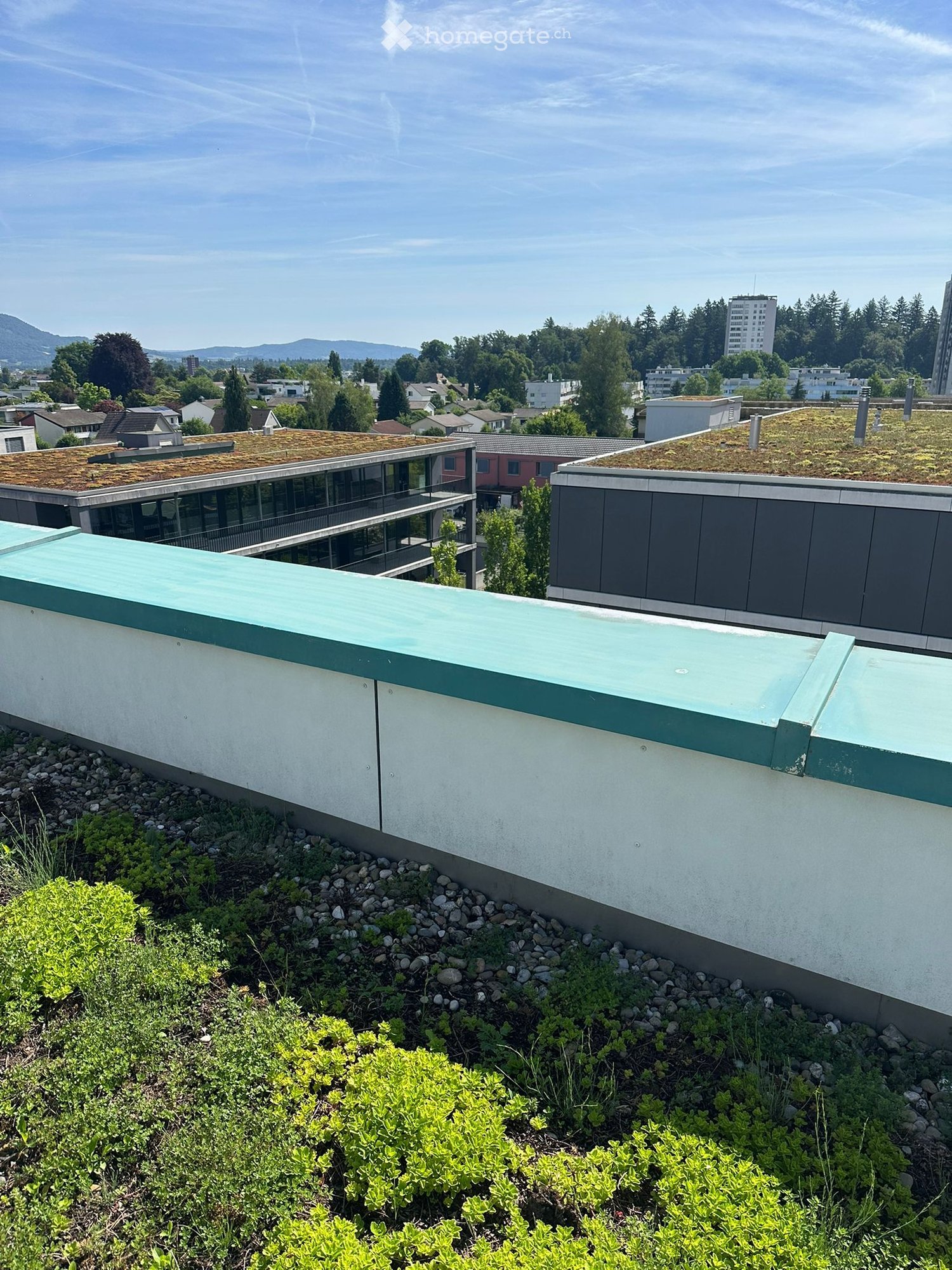 A rooftop garden with green plants and shrubs, surrounded by modern buildings with glass facades and green roofs.