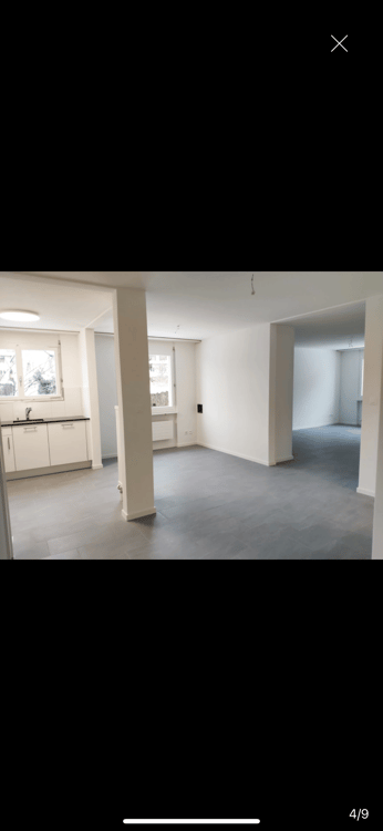 Helle 4.5-Zimmer-Wohnung mit Balkon und Garage in Winterthur 4
