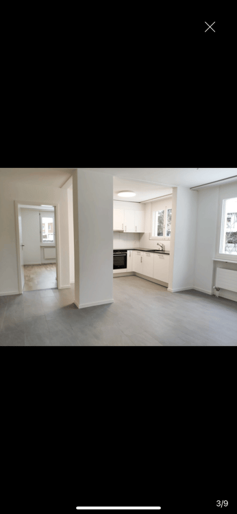 Helle 4.5-Zimmer-Wohnung mit Balkon und Garage in Winterthur 3