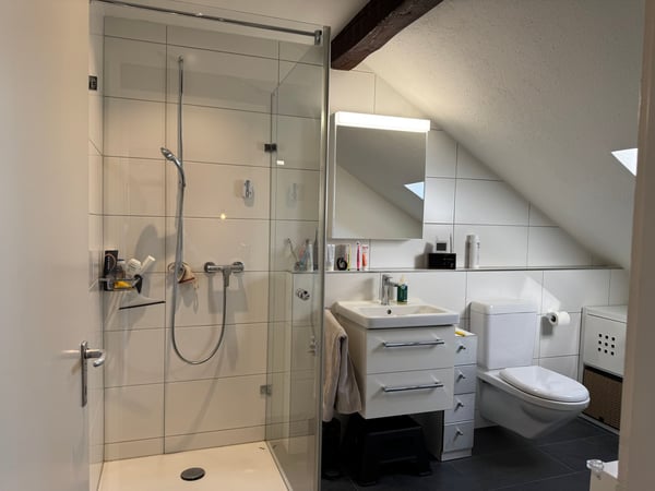 Urbaner Luxus im Gundeli: Loft-Maisonette mit historischem Charme 4