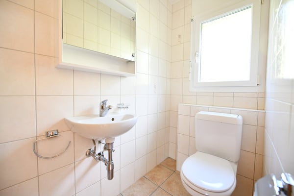 A vendre - Maison individuelle à Prafirmin/Savièse 6