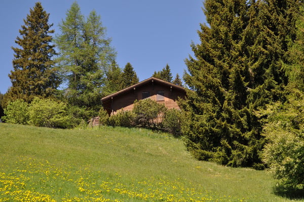Charmantes Chalet in Brambrüesch – Traumhafter Bergblick und idyllische Ruhe 1