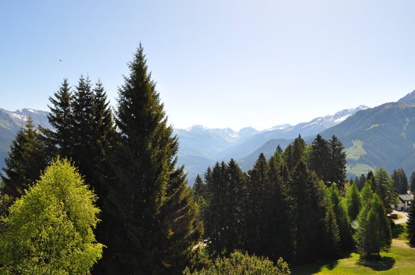 Charmantes Chalet in Brambrüesch – Traumhafter Bergblick und idyllische Ruhe 3
