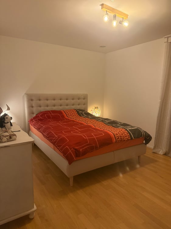 Charmante 3.5-Zimmer-Dachwohnung mit Bergblick in Oberarth 4