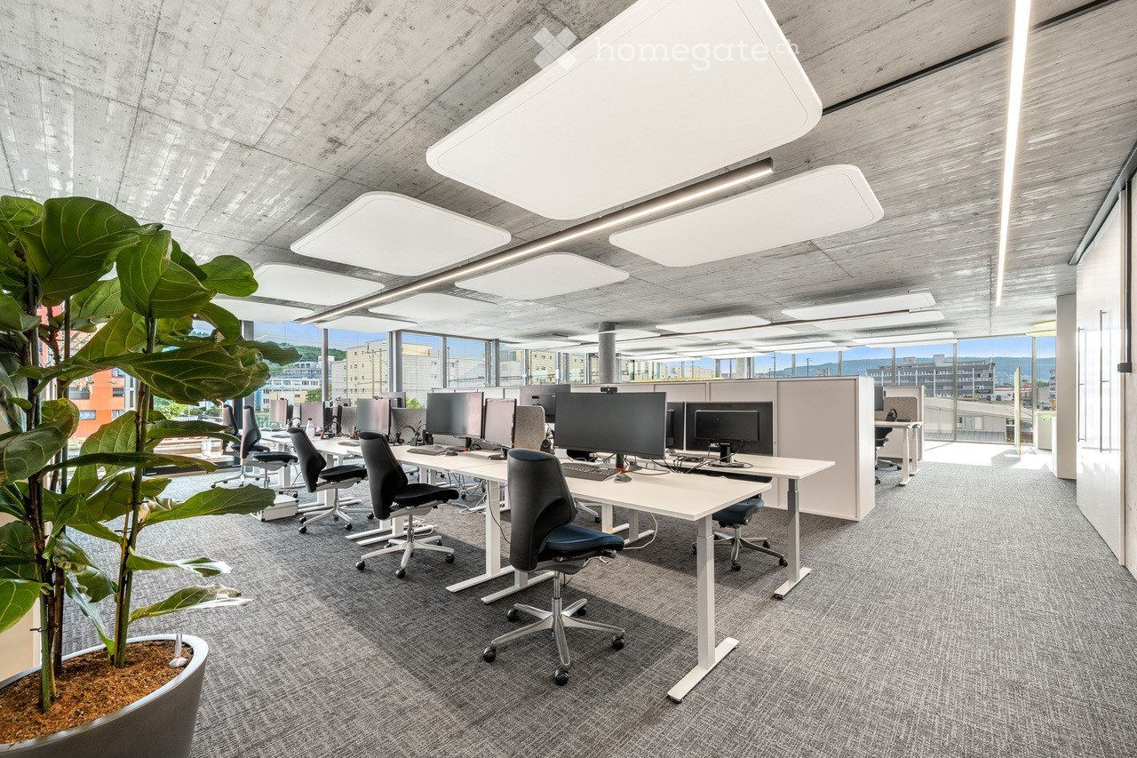 Large room with modern white desks, ergonomic chairs, and multiple computer monitors. A large green plant is present in the foreground.
