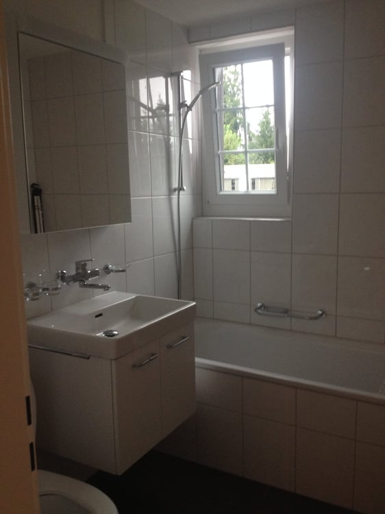 Schöne, renovierte 5,5 Zimmer Wohnung in idyllischer Lage 6