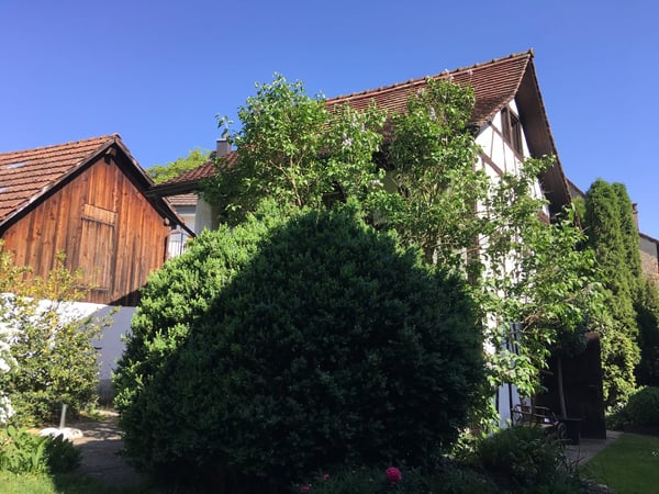 Schöne, renovierte 5,5 Zimmer Wohnung in idyllischer Lage 2
