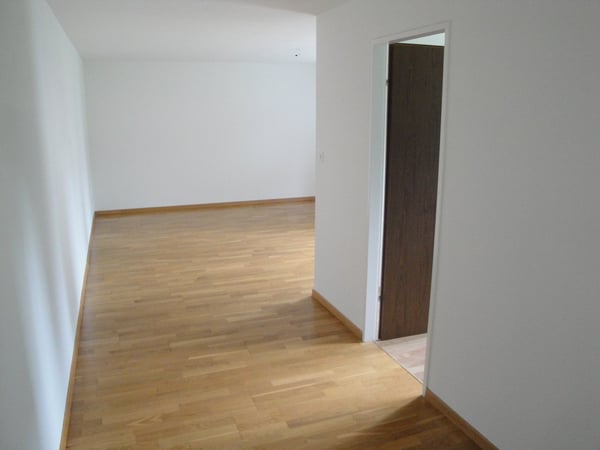 Gemütliche 2-Zimmer-Wohnung mit Balkon in Wittenbach 3