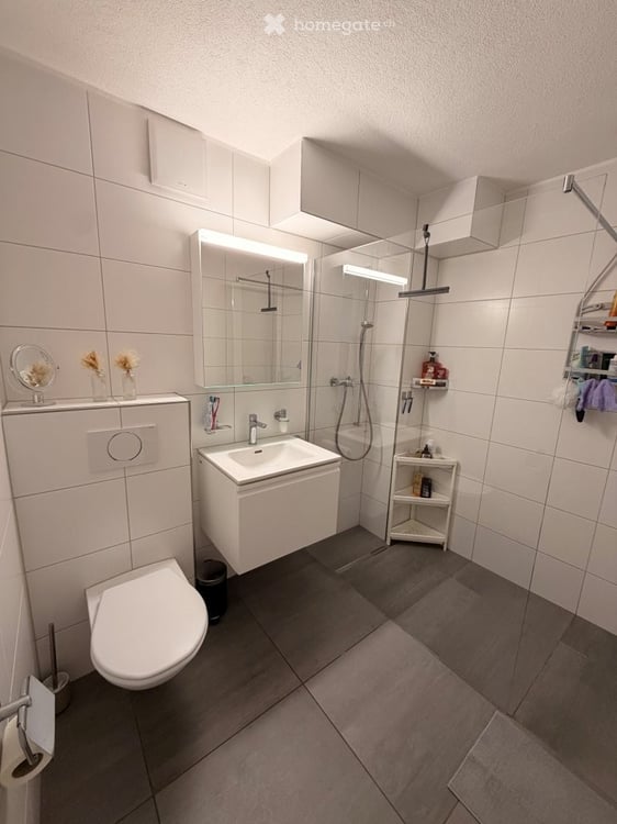 Helle 5.5-Zimmer-Wohnung mit Balkon und schöner Aussicht in Emmenbrücke 7