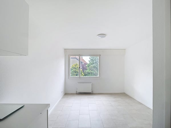 Charmant studio récemment rénové 2