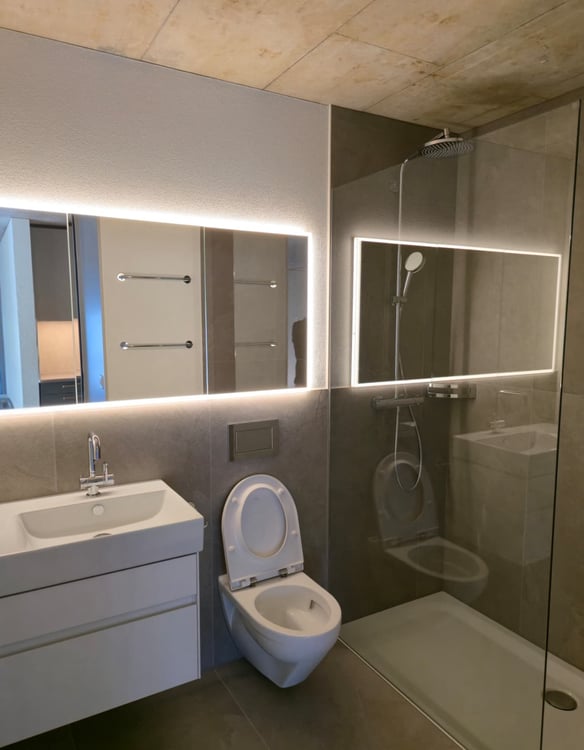 Moderne 4.5-Zimmer-Neubau-Wohnung in Wohlen AG 6
