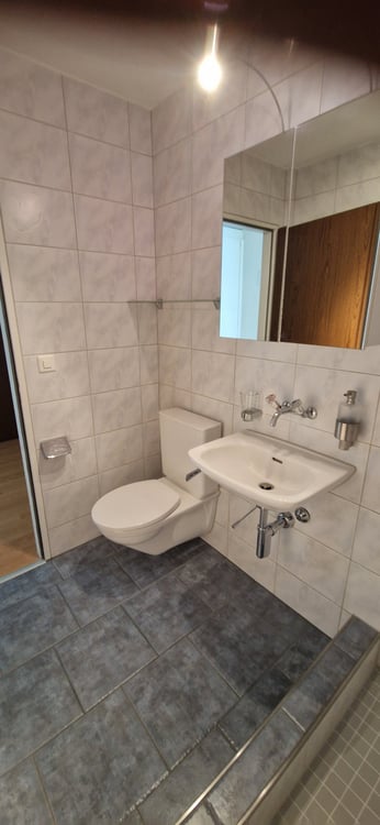 Helle 2.5-Zimmer-Wohnung mit Balkon und Aussicht in Dällikon 4