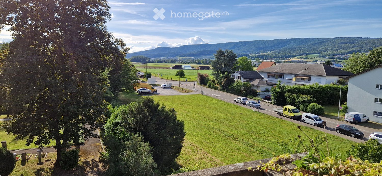 A panoramic view of a rural area with a road, parked cars, houses, green fields, and distant mountains under a clear sky.