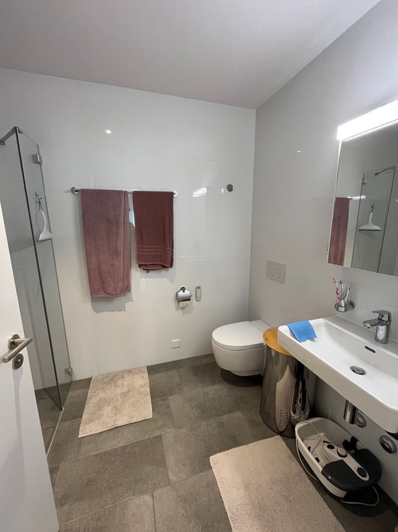 Moderne 3.5-Zimmer-Wohnung mit Balkon und herrlichem Säntisblick in Arbon 4