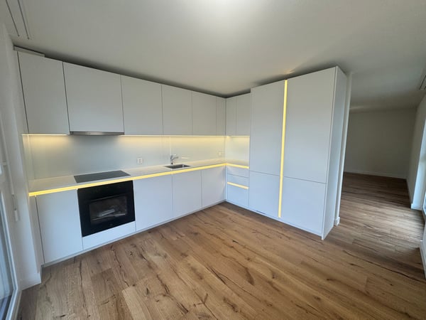 Moderne 4.5-Zimmer-Wohnung mit Seeblick in Beinwil am See 2