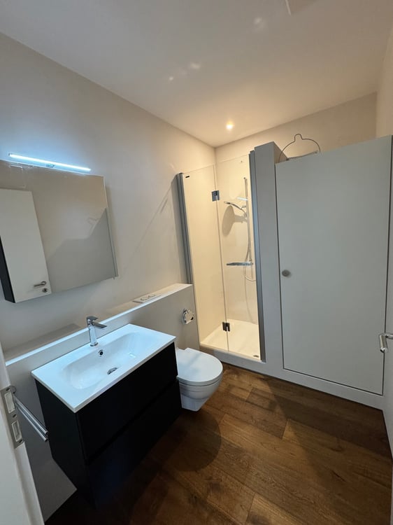 Traumhafte 2.5-Zimmerwohnung in Weggis 7