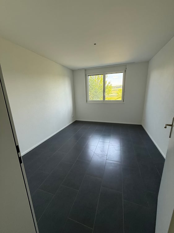 Moderne 4.5-Zimmer-Wohnung im Erdgeschoss in Schlierbach – sofort verfügbar! 2