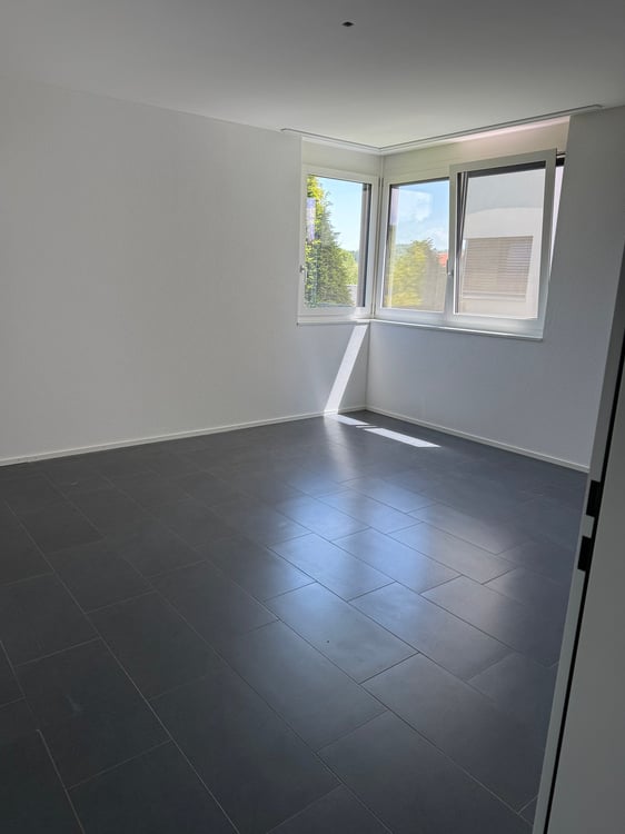 Moderne 4.5-Zimmer-Wohnung im Erdgeschoss in Schlierbach – sofort verfügbar! 3