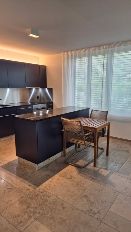 Modern 2.5-Room Apartment in Zürich Wiedikon 5
