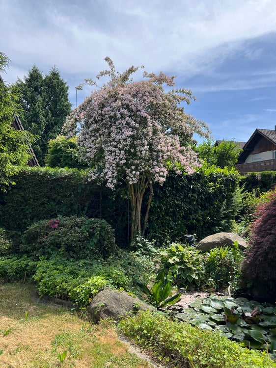 Möbliertes 5.5-Zimmer-Haus in idyllischer Seelage – Buonas, Zug 12