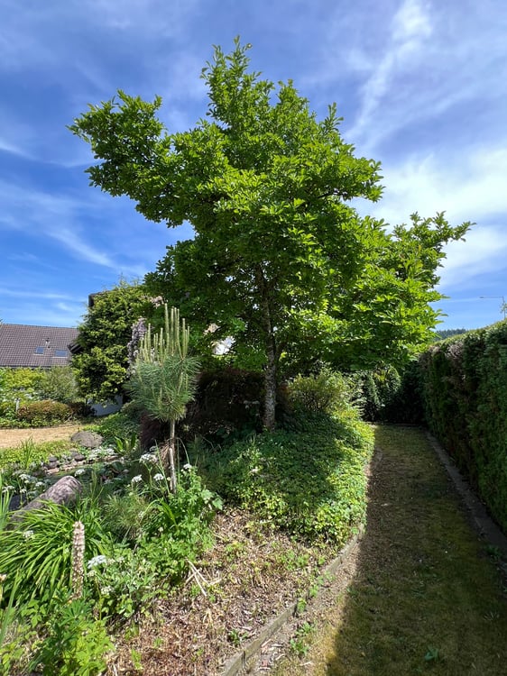 Möbliertes 5.5-Zimmer-Haus in idyllischer Seelage – Buonas, Zug 14