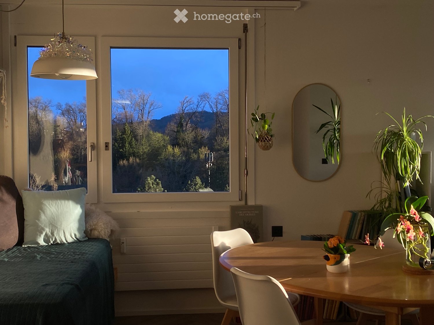 Bright living space with a sofa, round wooden table, chairs, and decorative plants, overlooking a scenic mountain view.