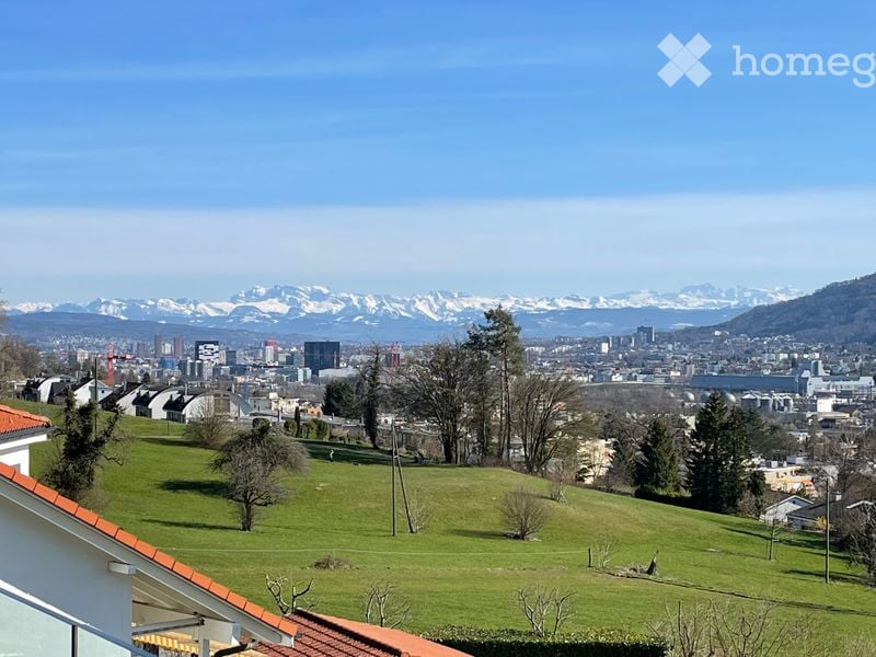 Panoramic view of a cityscape with snow-capped mountains in the background, green hills, and scattered trees.