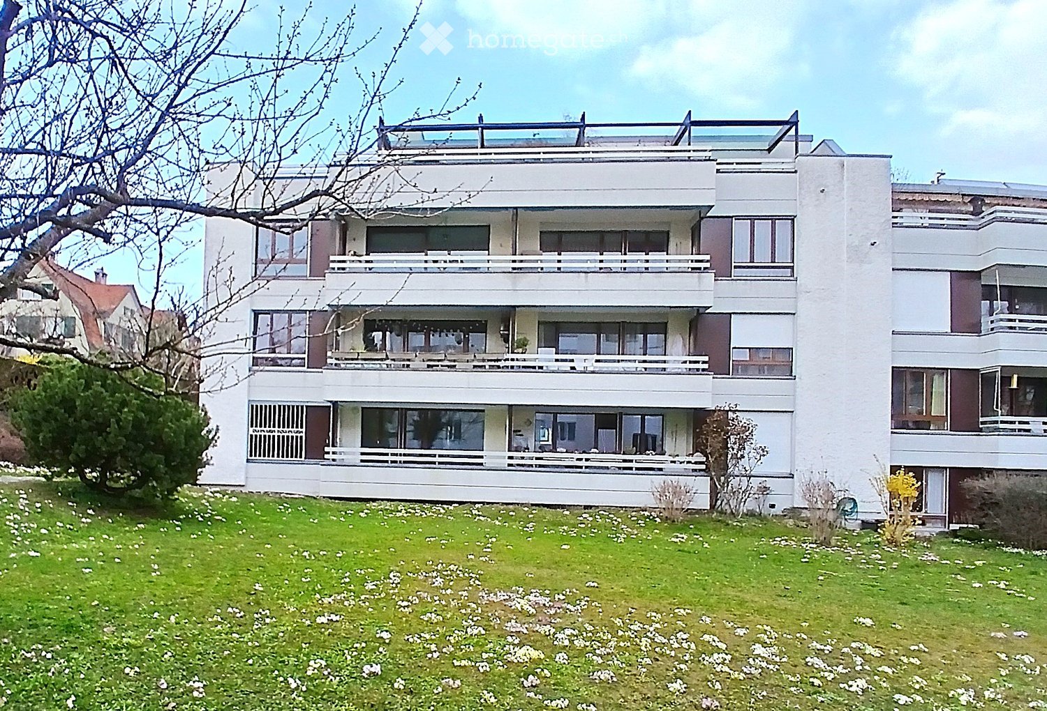 Modern multi-story building with white facade, large windows, and balconies overlooking a grassy lawn with scattered white flowers.