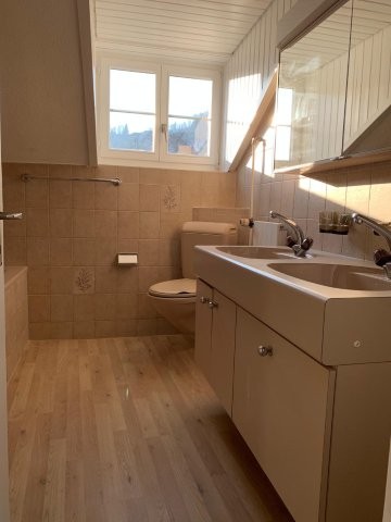 3.5 Zimmer Dachwohnung in Wald ZH 7