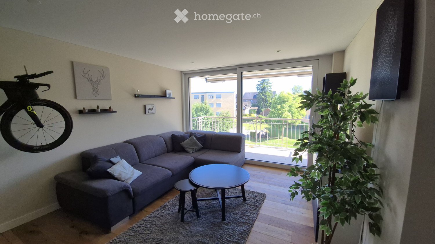 Modern living room with grey sectional sofa, coffee table, small stool, large plant, bicycle mounted on wall, and artwork.