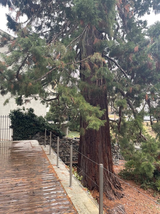 Renovierter Keller mit grosser Terrasse 5