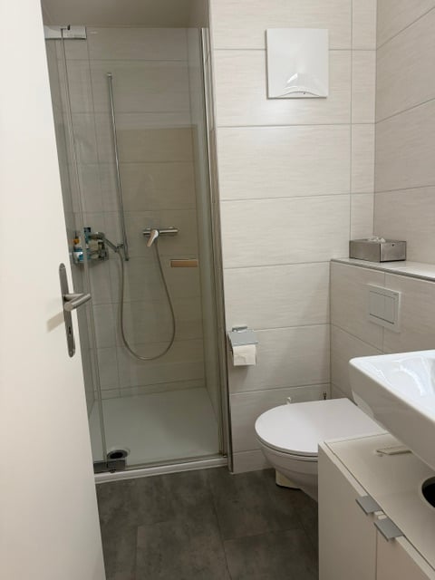 Wohnung in Forch 2