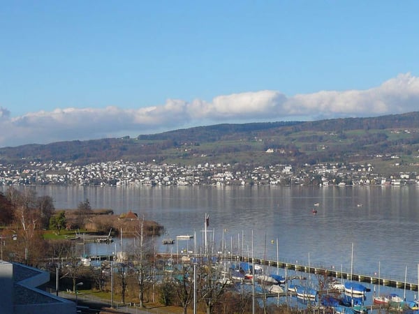 3.5-Zimmer-Terassenwohnung mit Seeblick & Sauna 10