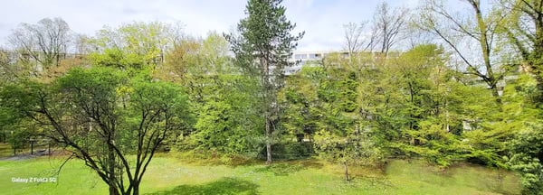 Appartement 4.5 pièces lumineux et rénové à Genève – Eaux-Vives 2
